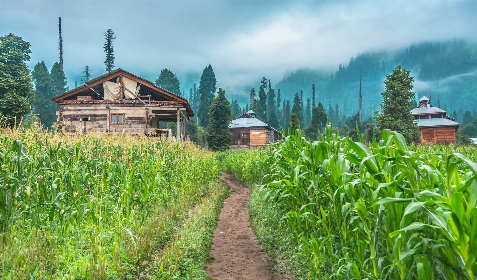 Neelum Valley, Azad Kashmir