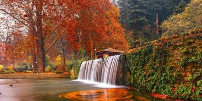 Chrysanthemum Garden to boost Kashmir autumn tourism