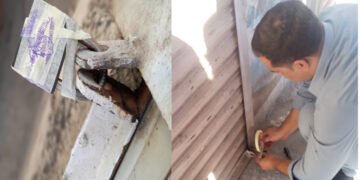 فوڈ اتھارٹی