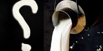 مہنگا دودھ قبول نہیں،مہنگا ہونے کے باوجود ایک نمبر دودھ کی کیا گارنٹی ہے، طاہر محمود