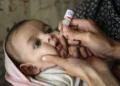 "Departments Must Act to Control Polio: DC Kotli