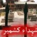 Martyrs' Day rally held in Mirpur with citizens' support.