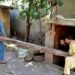 Kashmiris return home after India-Pakistan ceasefire