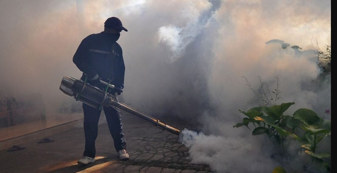 Dengue Spray Drive Starts in Charhoi Tehsil