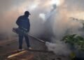 Dengue Spray Drive Starts in Charhoi Tehsil