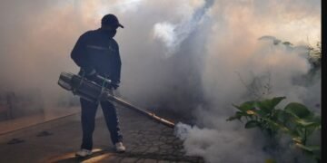 Dengue Spray Drive Starts in Charhoi Tehsil